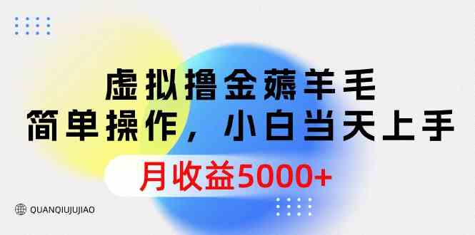 虚拟撸金薅羊毛，简单操作，小白当天上手，月收益5000+-创客聚集地