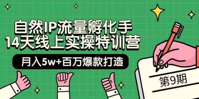 自然IP流量孵化手 14天线上实操特训营【第9期】月入5w+百万爆款打造 (74节)-创客聚集地