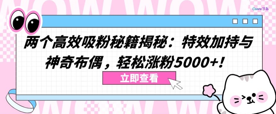 两个高效吸粉秘籍揭秘：特效加持与神奇布偶，轻松涨粉5000+-创客聚集地