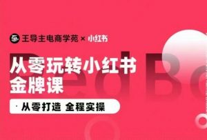 王导主·小红书电商运营实操课，​从零打造  全程实操-创客聚集地