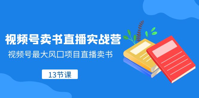 视频号卖书直播实战营，视频号最大风囗项目直播卖书（13节课）-创客聚集地