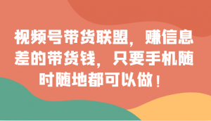 视频号带货联盟，赚信息差的带货钱，只需手机随时随地都可以做！-创客聚集地