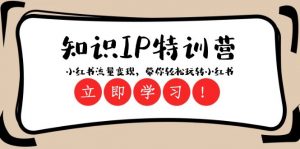 知识IP特训营 ：小红书流量变现，带你轻松玩转小红书（23节视频课）-创客聚集地