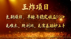 王炸项目!单账号稳定收益300+,适合长期操作的副业兼职。-创客聚集地