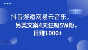 抖音邂逅网易云音乐，另类文案4天狂吸5W粉，日赚1000+-创客聚集地