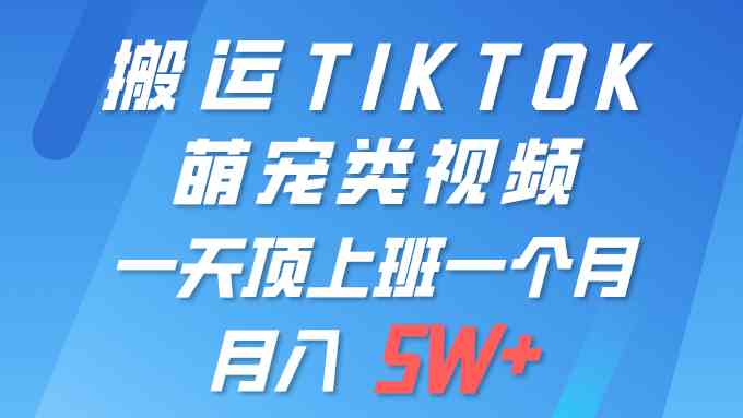一键搬运TIKTOK萌宠类视频 一部手机即可操作 所有平台均可发布 轻松月入5W+-创客聚集地