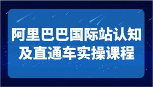 阿里巴巴国际站认知及直通车实操课-国际地产逻辑、国际站运营定位、TOP商家运营思路-创客聚集地