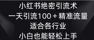 小红书绝密引流术，一天引流100＋精准流量，适合各个行业，小白也能轻松上手-创客聚集地
