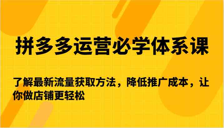拼多多运营必学体系课-了解最新流量获取方法，降低推广成本，让你做店铺更轻松-创客聚集地