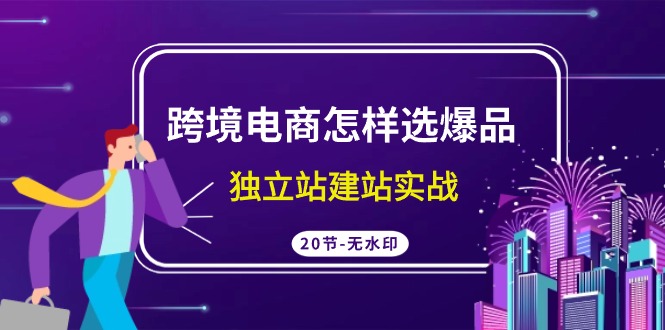 跨境电商怎样选爆品，独立站建站实战（20节高清课）-创客聚集地