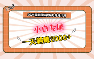 2024最新微信视频号分成计划，对新人友好，一天躺赚2000+-创客聚集地