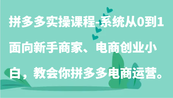 拼多多实操课程-系统从0到1，面向新手商家、电商创业小白，教会你拼多多电商运营。-创客聚集地