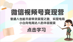 微信视频号变现营-普通人也能开启带货变现之路，实现电商小白向电商达人的华丽蜕变-创客聚集地