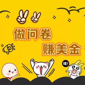 国外问卷调查小白家也可批量操作（口子查站点查渠道查）真正的长久稳定项目 日入1500+-创客聚集地