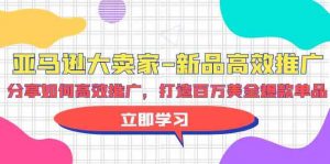 亚马逊 大卖家-新品高效推广,分享如何高效推广,打造百万美金爆款单品-创客聚集地