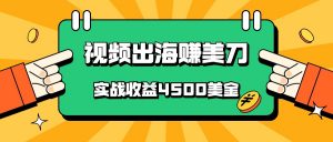 国内爆款视频出海赚美刀,实战收益4500美金,批量无脑搬运,无需经验直接上手-创客聚集地