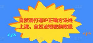 自然流打造IP正确方法线上课，自然流短视频教程-创客聚集地