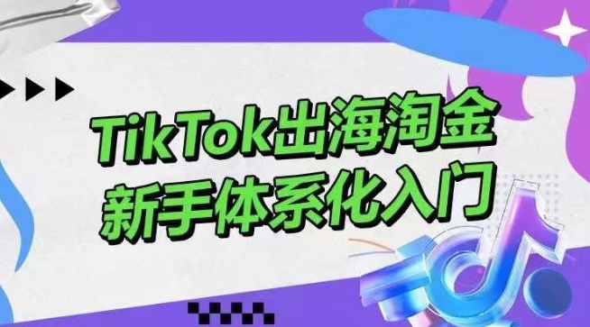TikTok出海淘金，新手体系化入门，零基础快速入门，掌握短视频、直播带货等引流到变现的知识-创客聚集地