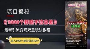 一千个野路子信息差最新玩法教程-变现+引流的玩法具体拆解-创客聚集地