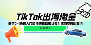 TikTok出海淘金，新手0-1快速入门短视频直播带货等引流到变现的知识-创客聚集地