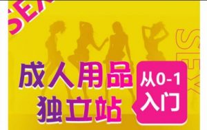成人用品独立站从0-1入门，成品独立站运营全流程教学，七大好卖成品独立站推荐-创客聚集地