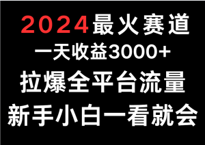 2024最火赛道，一天收一3000+.拉爆全平台流量，新手小白一看就会-创客聚集地