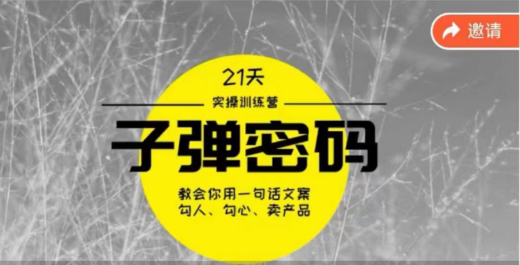《子弹密码训练营》用一句话文案勾人勾心卖产品，21天学到顶尖文案大师策略和技巧-创客聚集地