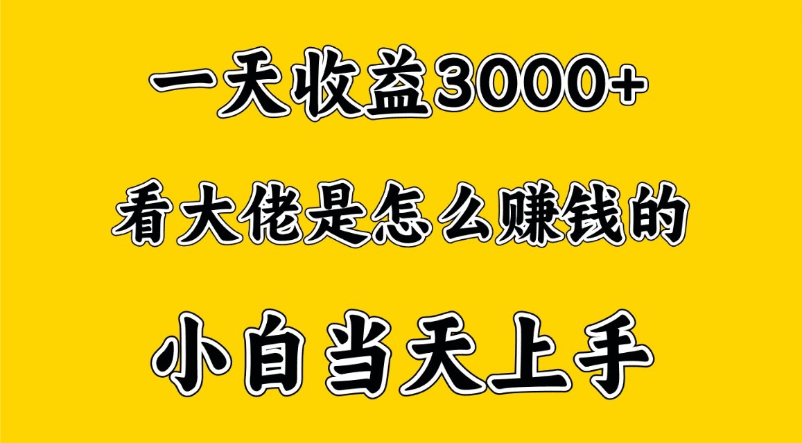 一天赚3000多，大佬是这样赚到钱的，小白当天上手，穷人翻身项目-创客聚集地