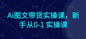 Ai图文带货实操课，新手从0-1 实操课-创客聚集地