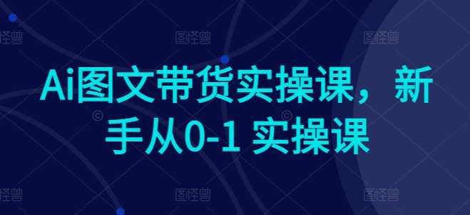Ai图文带货实操课，新手从0-1 实操课-创客聚集地