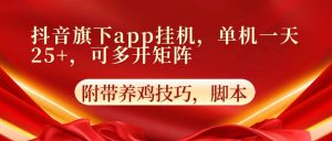 抖音旗下app自动挂机，单机一天收益25+，可多开矩阵-创客聚集地