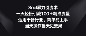 Soul暴力引流术，一天轻松引流100＋精准流量，适用于各行业，简单易上手！-创客聚集地