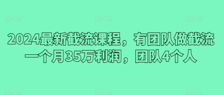 2024最新截流课程，有团队做截流一个月35万利润，团队4个人-创客聚集地
