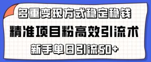 精准项目粉高效引流术，新手单日引流50+，多重变现方式稳定赚钱-创客聚集地