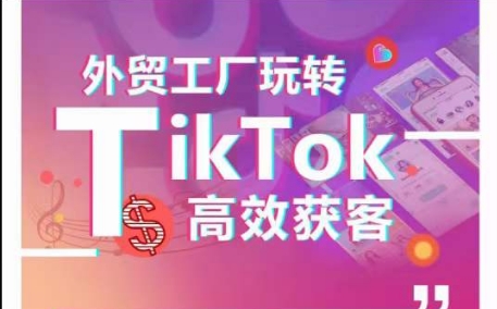 外贸工厂玩转TikTok高效获客，多种引流方式与账号定位技巧，拆解爆款短视频打造成功案例-创客聚集地