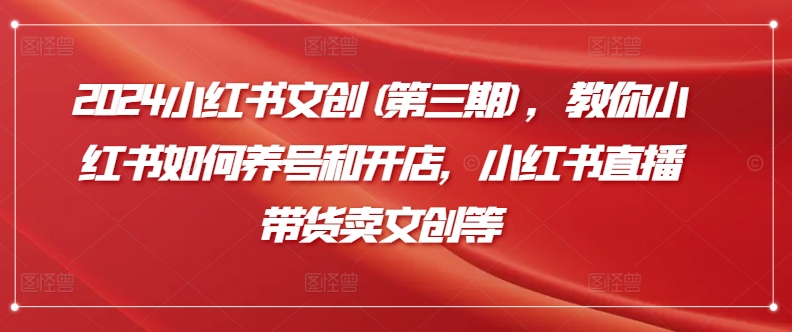 2024小红书文创(第三期)，教你小红书如何养号和开店，小红书直播带货卖文创等-创客聚集地
