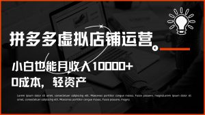 多多虚拟项目运营，小白也能月收入10000+-创客聚集地
