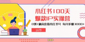 小红书100天-爆款IP实操营，0到1做高价值小红书号 每月多赚3000+（16节）-创客聚集地