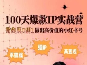小红书100天爆款IP实战营，带你从0到1做出高价值的小红书号-创客聚集地