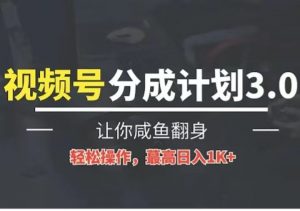 24年视频号冷门蓝海赛道，操作简单，单号收益可达四位数-创客聚集地