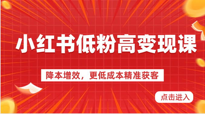 小红书低粉高变现课-降本增效，更低成本精准获客，小红书必爆的流量密码-创客聚集地