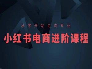 从零开始走向专业，小红书电商进阶课程-创客聚集地