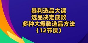 暴利 选品大课：选品决定成败，教你多种大爆款选品方法（12节课）-创客聚集地