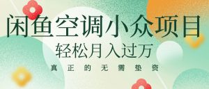 闲鱼卖空调小众项目 轻松月入过万 真正的无需垫资金-创客聚集地