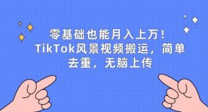 零基础也能月入上w，TikTok风景视频搬运，简单去重，无脑上传-创客聚集地