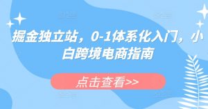 掘金独立站，0-1体系化入门，小白跨境电商指南-创客聚集地