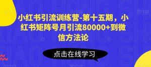 小红书引流训练营-第十五期，小红书矩阵号月引流80000+到微信方法论-创客聚集地