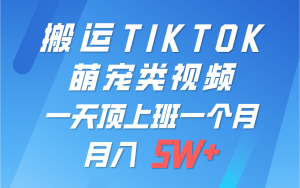 一键搬运TIKTOK萌宠类视频，一部手机即可操作，所有平台均可发布 轻松月入5W+-创客聚集地