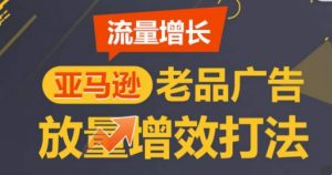 亚马逊流量增长-老品广告放量增效打法，循序渐进，打造更多TOP listing​-创客聚集地