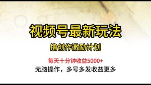 视频号最新玩法，每日一小时月入5000+-创客聚集地